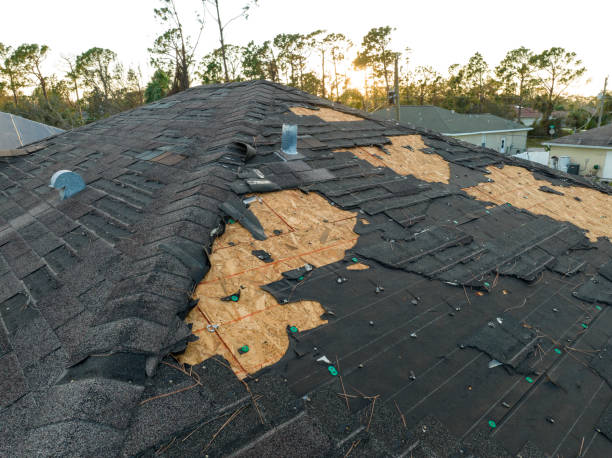 Best Rubber Roofing (EPDM, TPO)  in Petersburg, WV